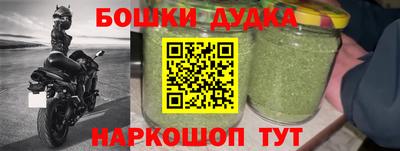 гидра Кингисепп