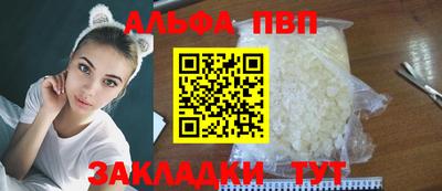 гидра Кингисепп