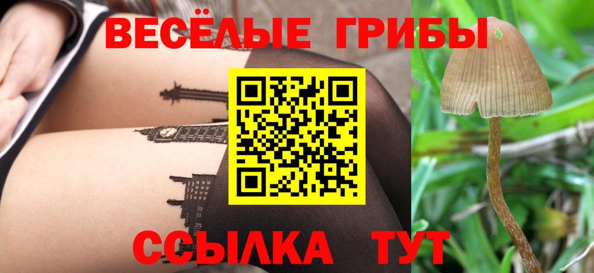 APVP Кыштым